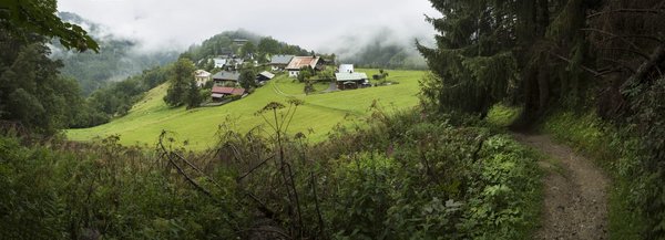 Est-ce que le vinaigre est dégraissant ?
